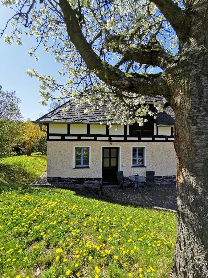 Ferienwohnung "Am Saalehaken" Gossitz Esterno foto